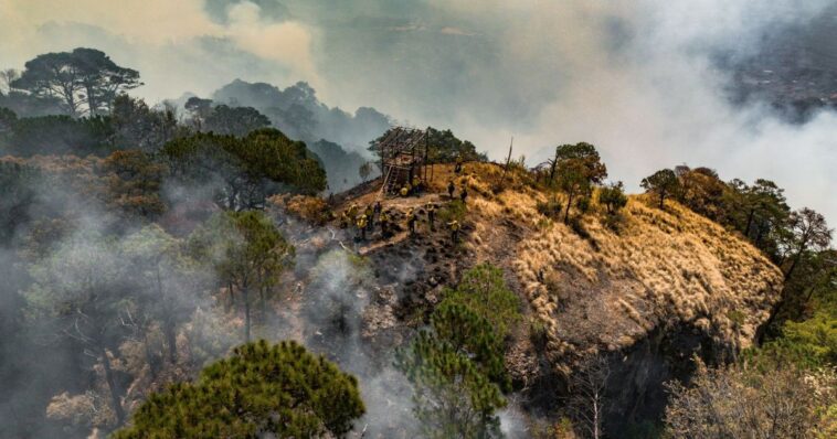 Logran liquidar el 40% del incendio en predio de Tepoztlán
