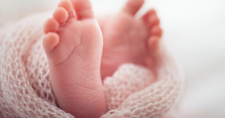 Recolector halla a bebé en bolsa de basura en Tultitlán; Recolector halla a bebé en bolsa de basura en Tultitlán; detienen a mamádetienen a mamá