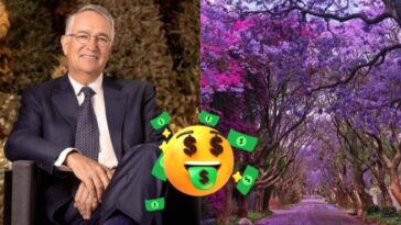 Ricardo salinas concurso jacaranda