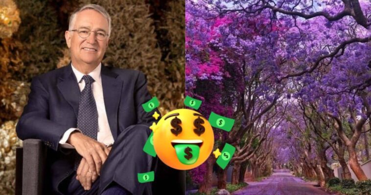 Ricardo salinas concurso jacaranda