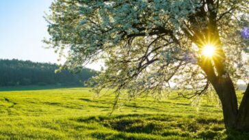 Se acerca el equinoccio de primavera
