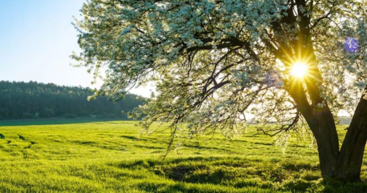 Se acerca el equinoccio de primavera