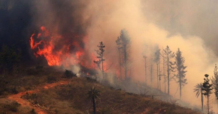incendio