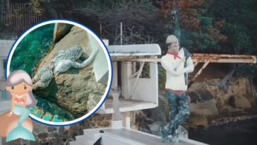 Cantinflas sirenas
