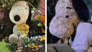 Snoopy CDMX