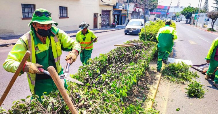 Continúan embelleciendo a Cuernavaca