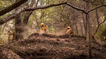 Esta es la situación actual de los incendios en Tepoztlán