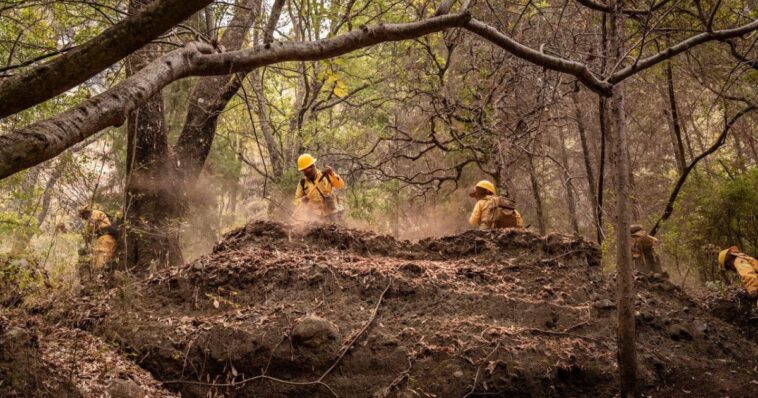 Esta es la situación actual de los incendios en Tepoztlán