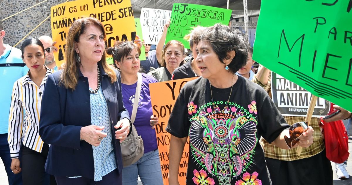Gobernadora de Morelos atiende a activistas en defensores de animales