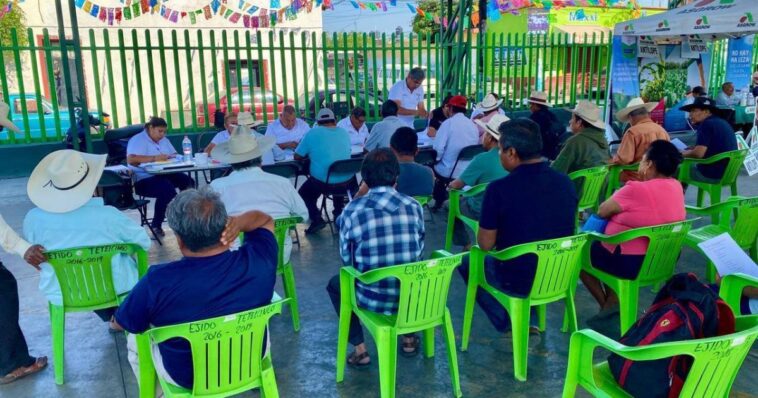 Inicia recepción de documentación del Proyecto Granos Básicos