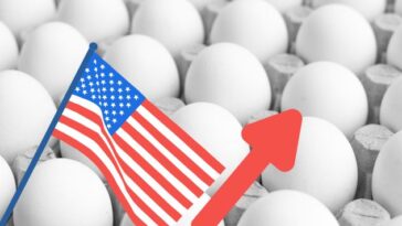 Huevo Estados Unidos