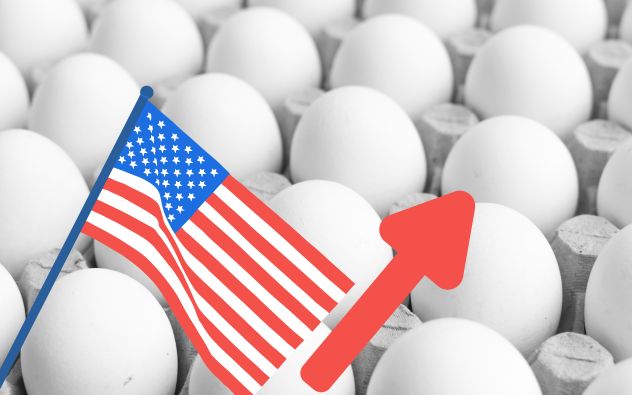 Huevo Estados Unidos
