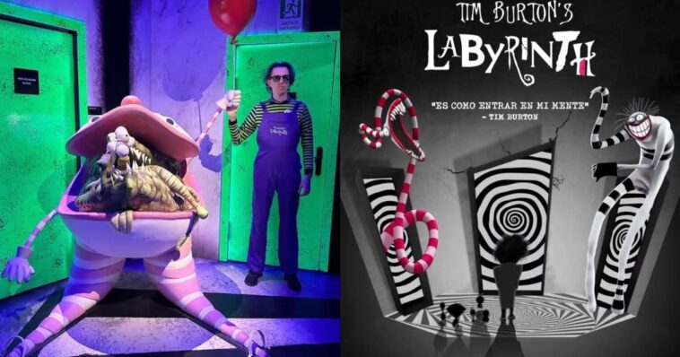 Tim Burton el laberinto