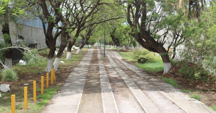 Con “Corredor seguro” mujeres tendrán seguridad en las calles de Jiutepec