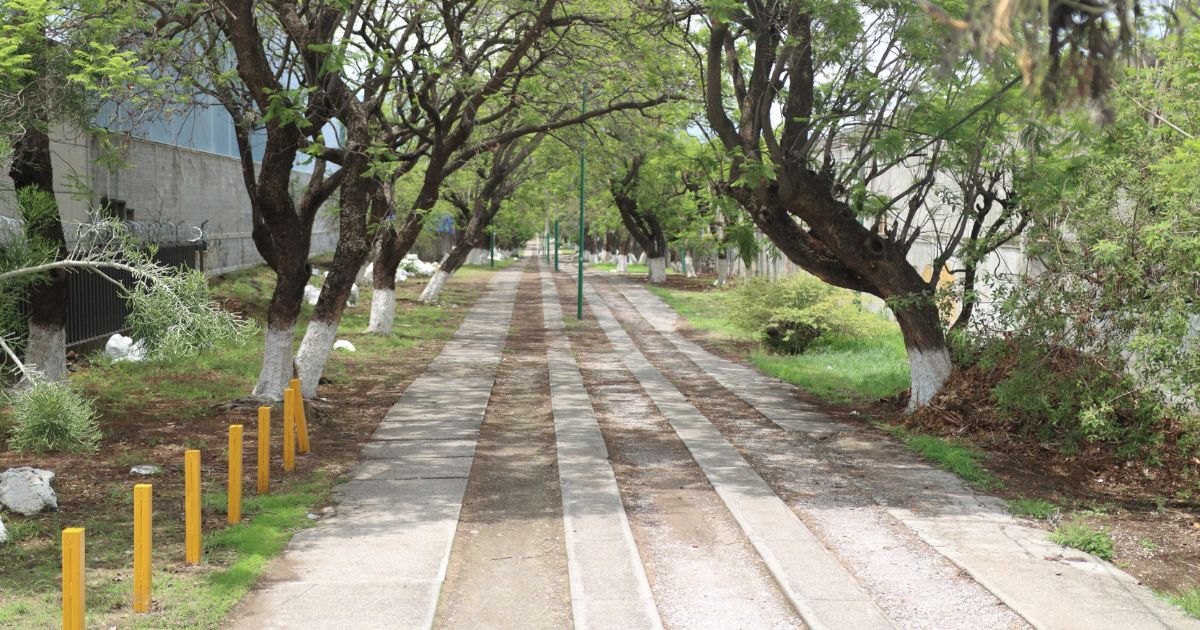 Con “Corredor seguro” mujeres tendrán seguridad en las calles de Jiutepec