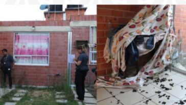 Rescatan a perros durante cateo en Puebla