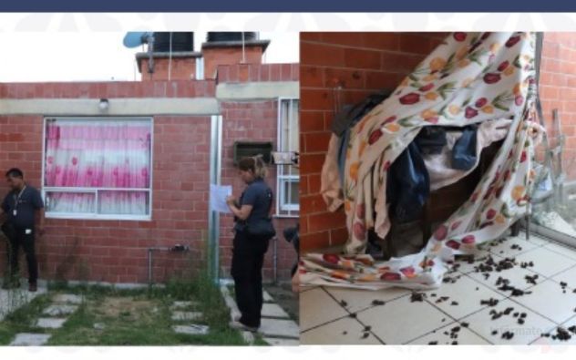 Rescatan a perros durante cateo en Puebla
