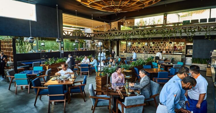 Conoce los cinco restaurantes que se unen a la Guía Michelín México 2025