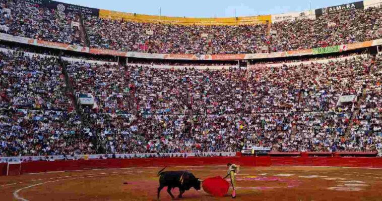 “Inviable” llevarse a la tauromaquia sin violencia: Plaza México