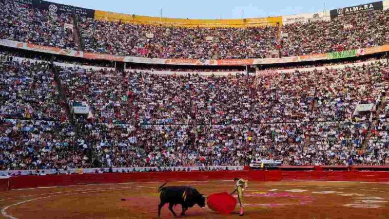 “Inviable” llevarse a la tauromaquia sin violencia: Plaza México