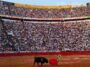 “Inviable” llevarse a la tauromaquia sin violencia: Plaza México