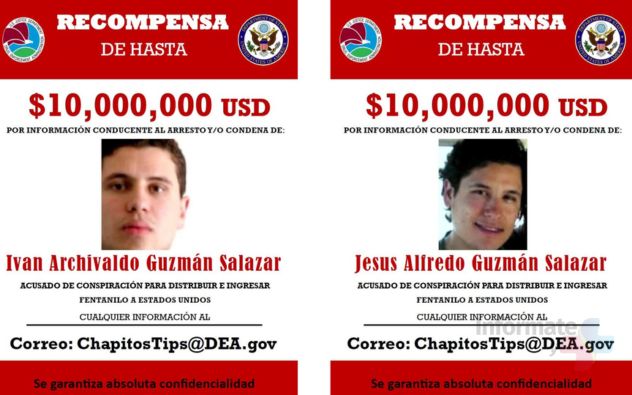 recompensa Chapitos