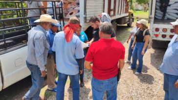 Realizan entrega de alimento pecuario a ganaderos de Cuautla