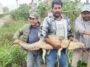 Rescatan a cocodrilo que andaba por las calles de Cuautitlán Izcalli