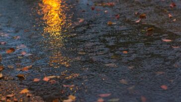 Se espera lluvias fuertes en estos estados