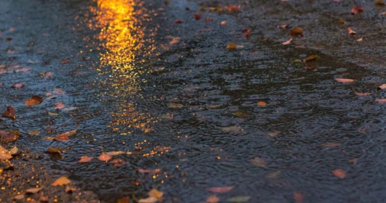 Se espera lluvias fuertes en estos estados