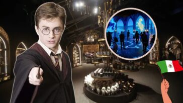 harry potter Vision of Magic