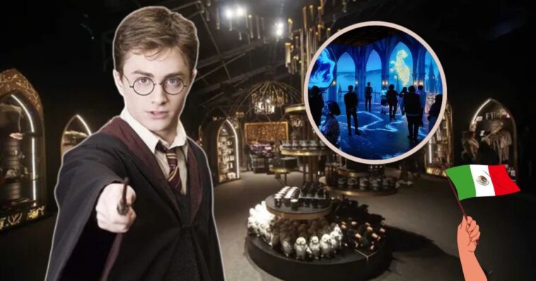 harry potter Vision of Magic