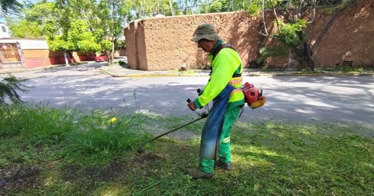 Ayuntamiento de Cuernavaca realiza mantenimiento integral en avenida Reforma Ayuntamiento de Cuernavaca realiza mantenimiento integral en avenida Reforma
