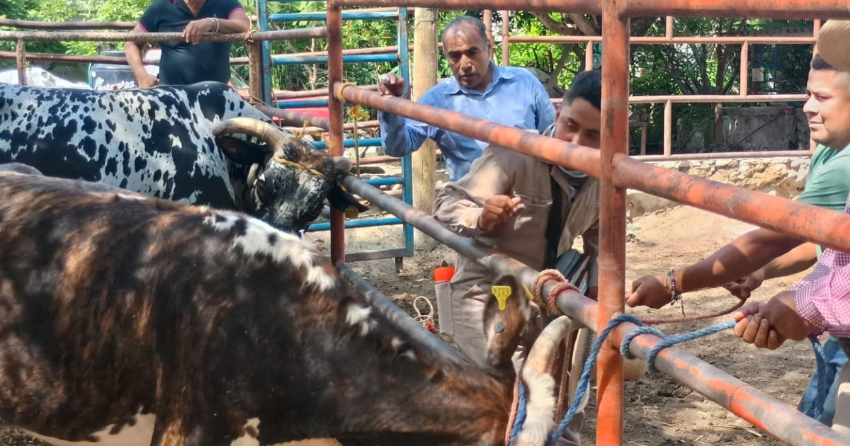 Aplican cerco sanitario contra rabia en Yautepec