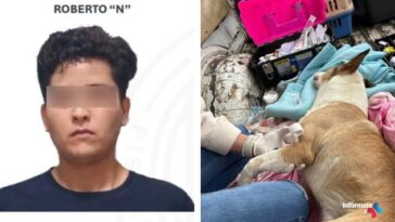 Justicia para Bayleis