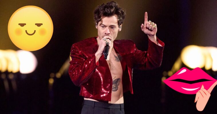 Harry Styles lanza vibrador y lubricante sexual a la venta