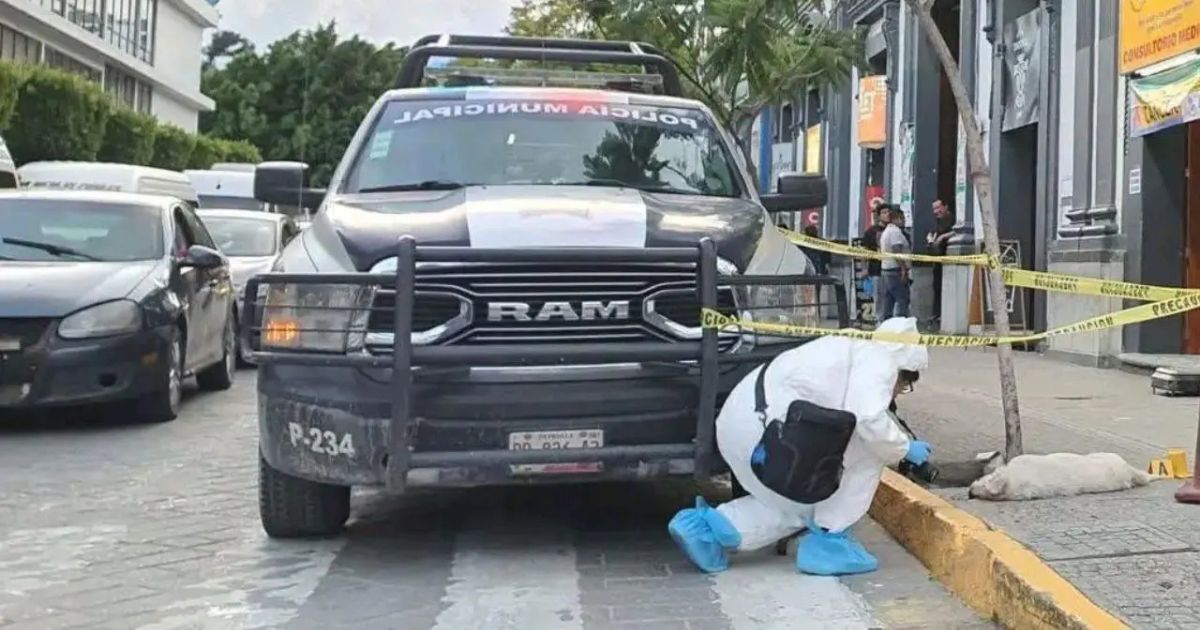 ¿Perro fallece y Ministerio Público lo levanta?