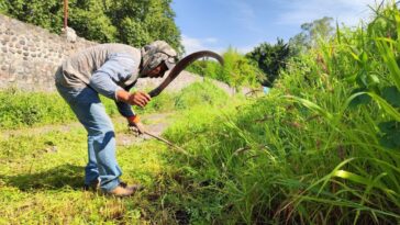 Refuerzan limpieza y vigilancia en la ribera del Río Cuautla para proteger el medio ambiente