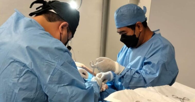 Vasectomías gratuitas sin bisturí en Cuautla