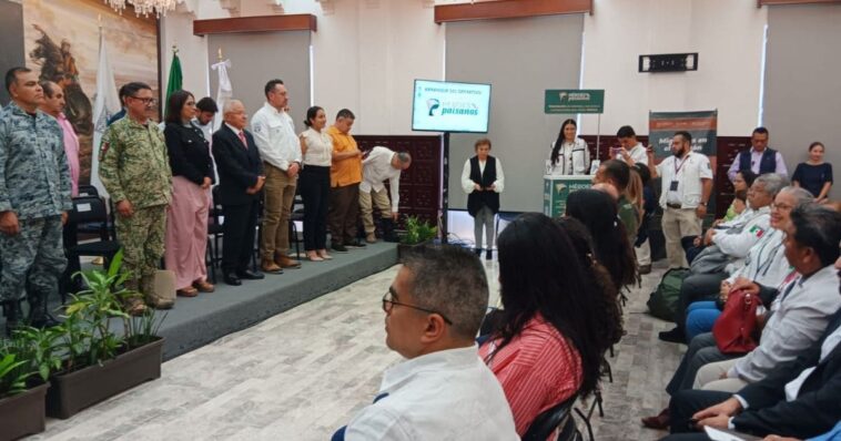 cuautla (1)