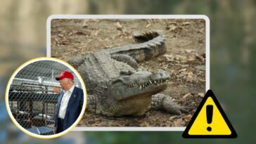 donald trump (1)