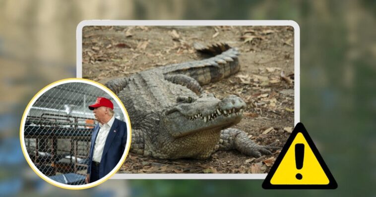 donald trump (1)
