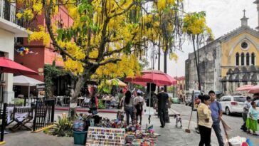 Refrendo Cuernavaca