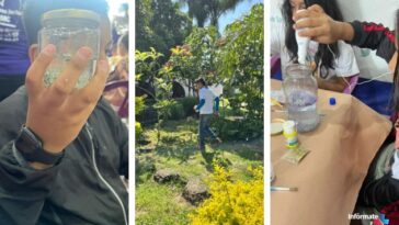 Curso infantil Cuernavaca