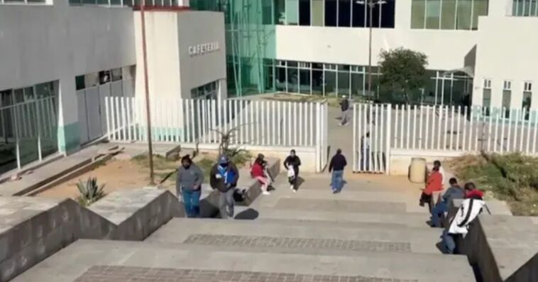 Detectan otros tres casos sospechosos de rabia en Zacatecas