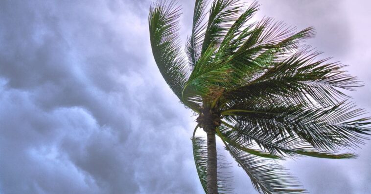 Tormenta-min (1)