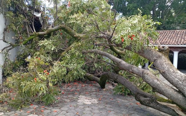 Afectaciones Cuernavaca