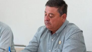 diputado