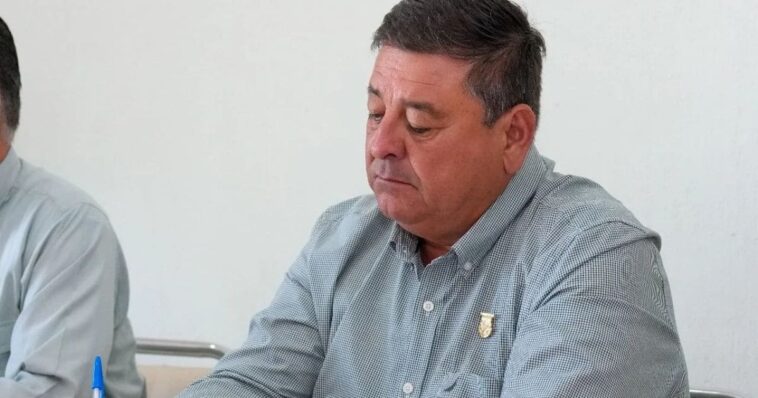 diputado