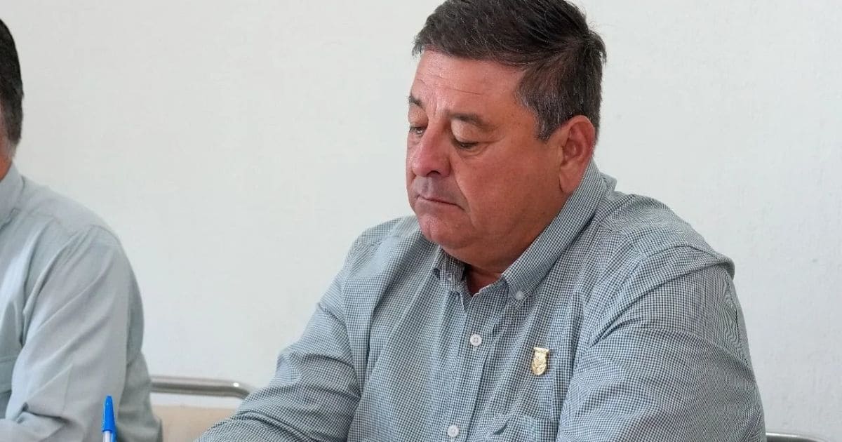 diputado